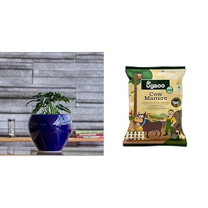ugaoo apple ceramic pot - big dark blue cow dung manure fertilizers for plants amp home gardening - 5 kg