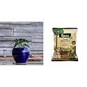 UGAOO Apple Ceramic Pot - Big (Dark Blue) Cow Dung Manure Fertilizers for Plants &amp; Home Gardening - 5 kg
