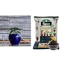 UGAOO Apple Ceramic Pot - Big (Dark Blue) Cactus and Succulents Potting Soil Mix for Plants - 5 kg