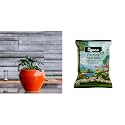 UGAOO Apple Ceramic Pot - Big (Orange) Organic Potting Garden Soil Mix for Plants Home Garden 5 Kg