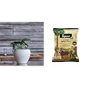 UGAOO Apple Ceramic Pot - Big (White) Cow Dung Manure Fertilizers for Plants &amp; Home Gardening - 5 kg