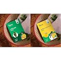 UGAOO Chives Herb Seeds (Green, Pack of 500) &amp; UGAOO Yellow Capsicum Vegetable Seeds (Pack of 50 Seeds)