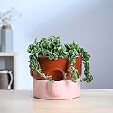 UGAOO Flower Sunflower Ceramic Planter for Plants
