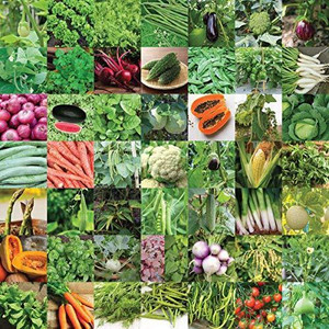 ugaoo indian vegetable seeds bank for home garden 50 varieties - 2255 seeds seed