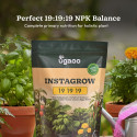 UGAOO InstaGrow NPK 19:19:19 Fertilizer Biofertilizer