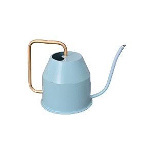 ugaoo metal watering can sky blue 900 ml with long spout for indoor and outdoor gardening
