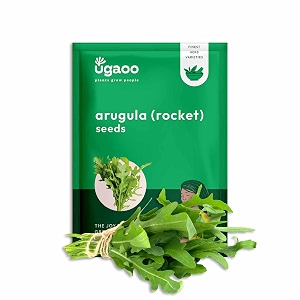 ugaoo rocket arugula herb seeds green pack of 1000