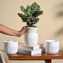 UGAOO York 5 Inch White Pots for