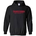 UGP Campus Apparel NCAA Basic Block - University Collegiate Hoodie