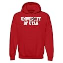 UGP Campus Apparel NCAA Basic Block - University Collegiate Hoodie