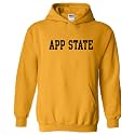 UGP Campus Apparel NCAA Basic Block - University Collegiate Hoodie
