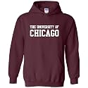 UGP Campus Apparel NCAA Basic Block - University Collegiate Hoodie