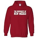 UGP Campus Apparel NCAA Basic Block - University Collegiate Hoodie