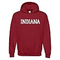 UGP Campus Apparel NCAA Basic Block - University Collegiate Hoodie