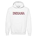 UGP Campus Apparel NCAA Basic Block - University Collegiate Hoodie