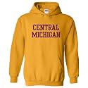 UGP Campus Apparel NCAA Basic Block - University Collegiate Hoodie