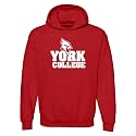 UGP Campus Apparel NCAA Basic Block - University Collegiate Hoodie