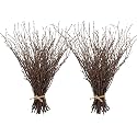 Uieke 100PCS Natural Dried Birch Twigs - 17 Inch Dried Plants Decorative Branches for DIY Crafts, Sticks for Vases Wedding Arrangements Home Wreath Decor