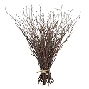 Uieke 50PCS Birch Twigs – 17 Inch Natural Dried Plants Decorative Birch Branches for DIY Crafts, Birch Sticks for Vases Wedding Arrangements Home Wreath Decor