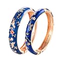 UJOY Colors Handcraft Jewelry Cloisonne Bracelet Enamel Bird Spring Hinged Womens Bangles Gifts Box 55C49