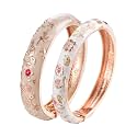 UJOY Colors Handcraft Jewelry Cloisonne Bracelet Enamel Bird Spring Hinged Womens Bangles Gifts Box 55C49