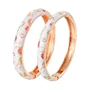 UJOY Handcrafted Cloisonne Bangle Bracelets Butterfly Enamel Metal Handcuff Jewelry Set Box Gift for Women 55A108-55B30