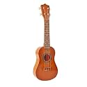 Ukulele Beginner Small Guitar, Student Instrument for Children Adults, Universal Entry Level Rosewood 21 Inch