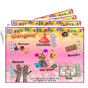 holi theme tambola tickets  gangaur pink housie tambola themed bingo game kitty party theme housie tickets  english  for family amp friends set of 15 tickets