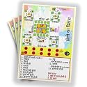 Holi Theme Tambola Tickets | Holi Ka Pitara Theme Tambola Bingo Housie Tickets | Hindi | for Kitty Party Game &amp; Family Gatherings | Bingo Housie Cards (Set of 15 Tickets)