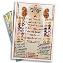 Navratri Tambola Tickets - Navratri Full Form Theme in English | Festive &amp; Engaging Bingo Housie Game | Fun Cards for Kitty Parties &amp; Themed Events (Set of 15 Tickets)