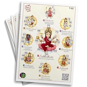 navratri theme tambola tickets - nine forms symbolism theme in english  festive amp engaging bingo housie game cards for kitty parties friends amp family gatherings set of 15 tickets