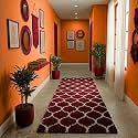 Ultra Premium Shaggy Polyester Micro Rug | Super Soft Fluffy Carpet | Non-Slip Washable Area Rug for Bedroom Living Room – (Maroon M, 3x10 feet, Rectangular)