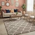 Ultra Premium Shaggy Polyester Micro Rug | Super Soft Fluffy Carpet | Non-Slip Washable Area Rug for Bedroom Living Room – (Silver M, 5x7 feet, Rectangular)