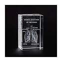 Ultrassist 3D Human Lung Crystal Model, Laser Etched Anatomical Model for Home and Office Decoration, Pulmonologists Gifts