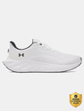 UNDER ARMOUR Ascend Running Shoes For Men