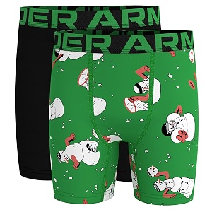 under armour big boys39 2 pack performance boxer briefs