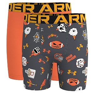 under armour big boys39 2 pack performance boxer briefs