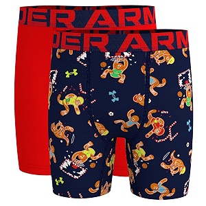 under armour big boys39 2 pack performance boxer briefs