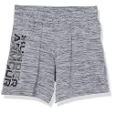 Under Armour Boy Shorts