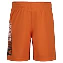Under Armour Boys' Performance Tech Shorts, Elastic Waistband