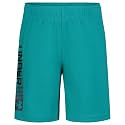 Under Armour Boys' Performance Tech Shorts, Elastic Waistband