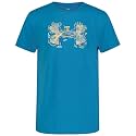 Under Armour Boys' Short Sleeve Graphic T-Shirt, Outdoor Collection