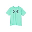 Under Armour Boys' Tech Big Logo Short Sleeve T-Shirt