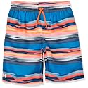 Under Armour Boys' Volley Swim Trunks with UPF 50+ Sun Protection