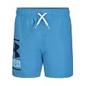 Under Armour Boys' Volley Swim Trunks with UPF 50+ Sun Protection