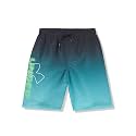 Under Armour Boys' Volley Swim Trunks with UPF 50+ Sun Protection