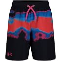 Under Armour Boys' Volley Swim Trunks with UPF 50+ Sun Protection