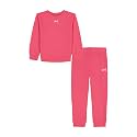 Under Armour Girl's 2-piece Fleece Sweatshirt and Sweatpants Set