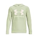Under Armour Kids Rival Fleece Hoodie (Big Kid)