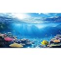 Under The Sea Aquarium Background Underwater Scene Coral Reefs Fish Tank Background Diverse Marine Life Sunlight Seascape Terrarium Backgrounds Tropical Undersea View Aquarium Tank Backgrounds 36x24in